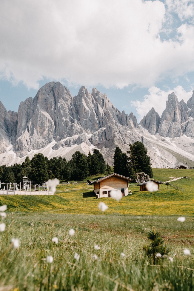 远山树林房屋草地风景图片