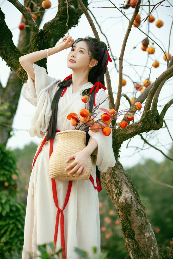 采摘柿子的白色古装美女个人艺术写真图片