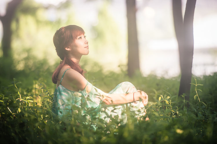 清晨阳光照耀下的林中仙子