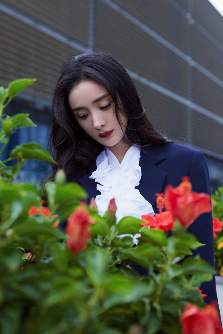杨幂赏花西装短裙性感写真图片