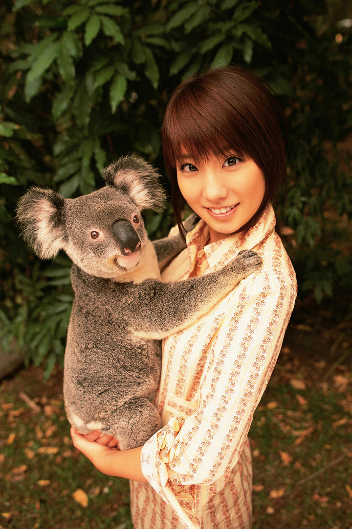 抱着考拉的日本短发气质美女图片