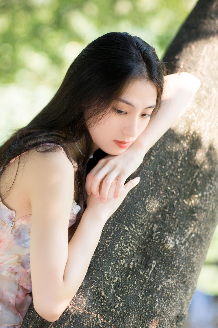 趴在大树上的清纯养眼美女壁纸高清写真图片