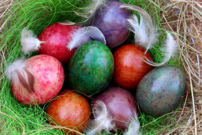 复活节鸟巢彩色鸡蛋图片