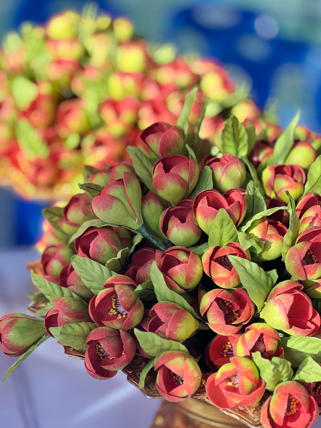 含苞待放绣球花花簇图片