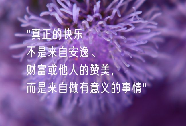 暖心正能量说说图片