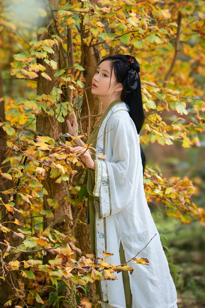 中国高清古装汉服美女壁纸图片大全