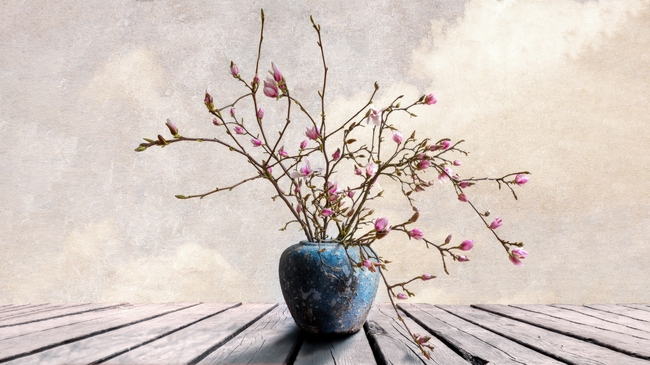 古风兰花艺术插花图片