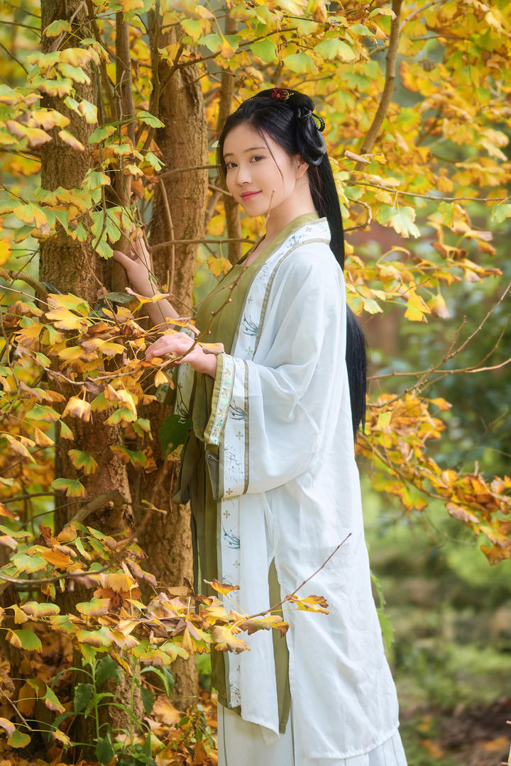 中国清纯美女古装艺术照图片专辑