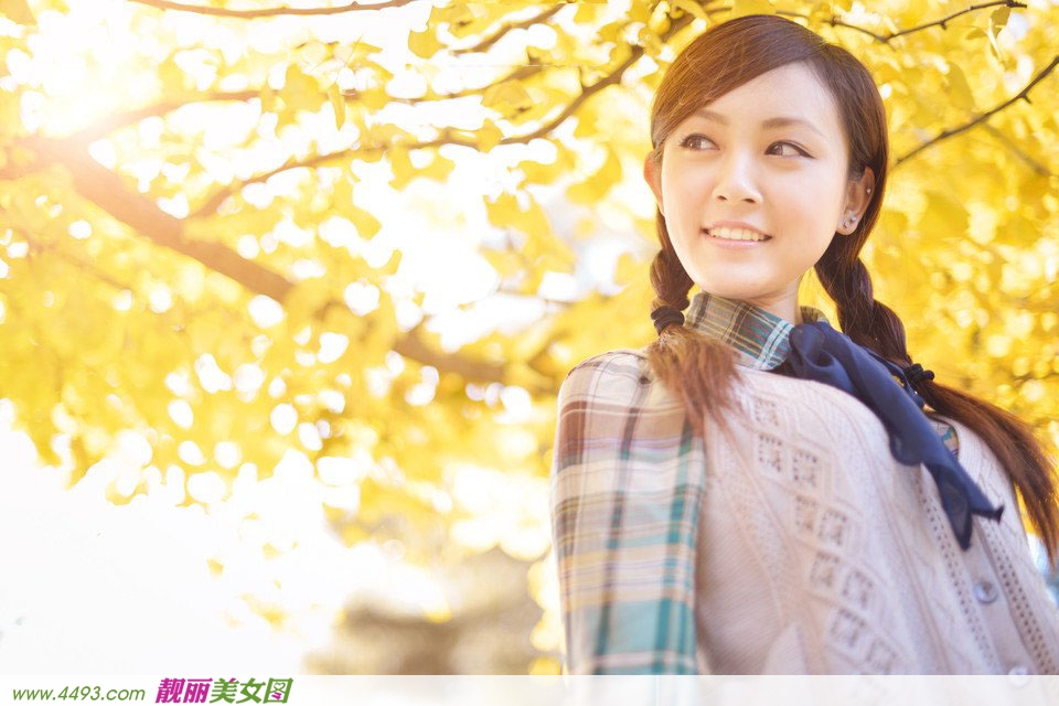 银杏树下的婷婷少女