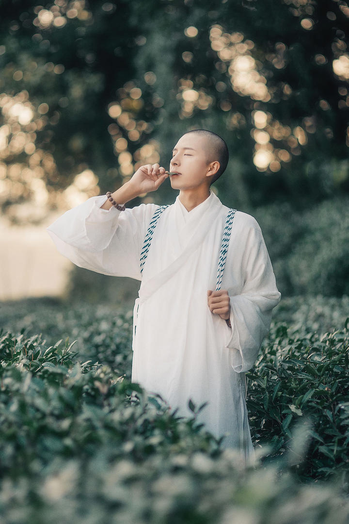 尝茶叶的行僧高清艺术写真图片