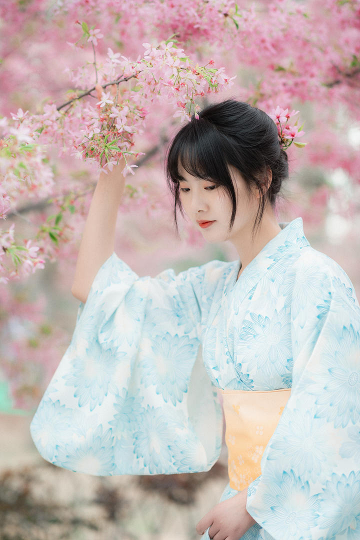 樱花树下的日本和服少女艺术照图片