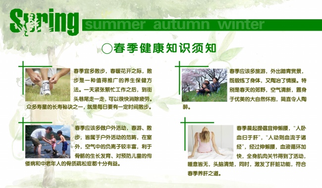 关于春天的手抄报图片