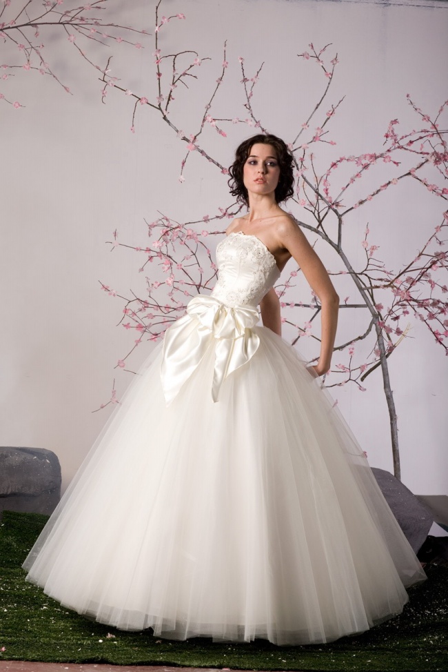 欧美霸气婚纱图片