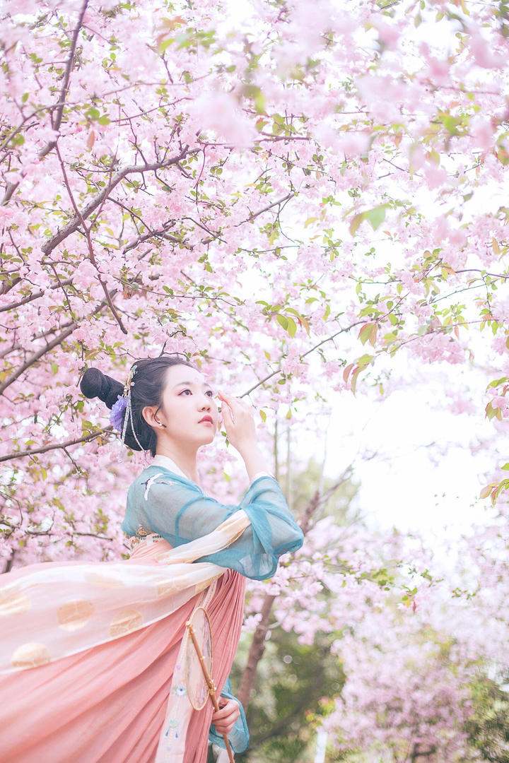 桃花林中的古典美女摄影写真图片