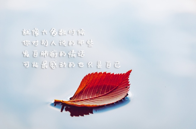 意境心情伤感文字图片