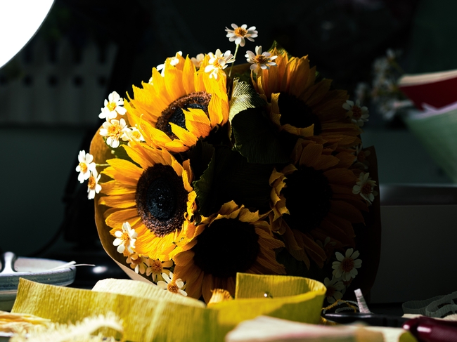 向日葵花束图片